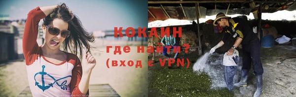 сатива Мегион