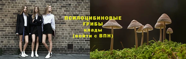 шишки Медвежьегорск