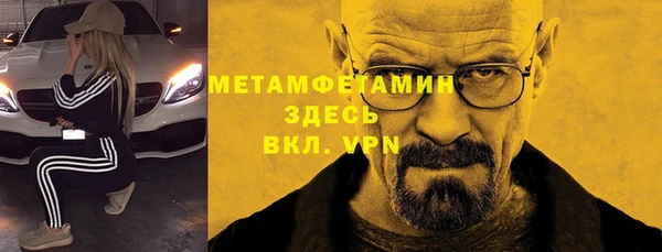 шишки Медвежьегорск