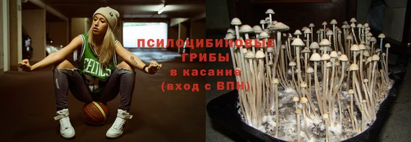 молекула духа Магас
