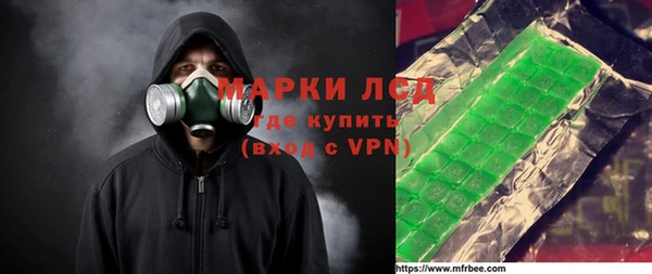 шишки Медвежьегорск