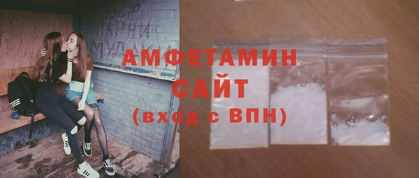 шишки Медвежьегорск