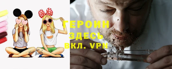 шишки Медвежьегорск