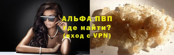 шишки Медвежьегорск