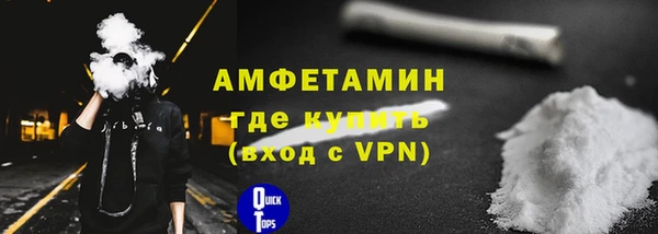 шишки Медвежьегорск