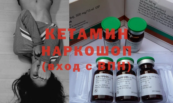 шишки Медвежьегорск
