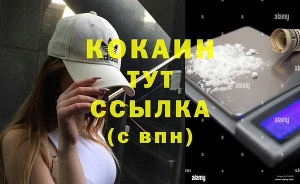 сатива Мегион
