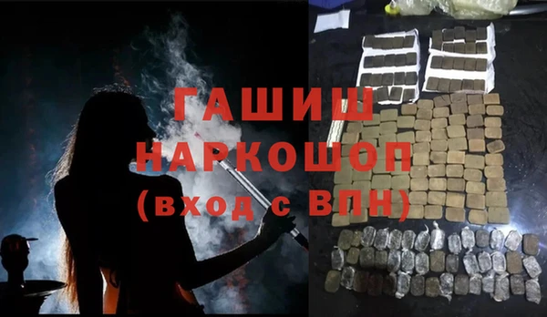 шишки Медвежьегорск