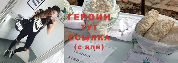 шишки Медвежьегорск