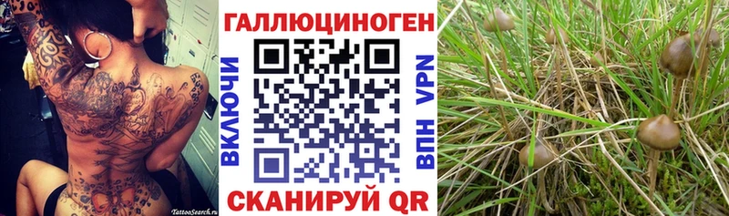 это формула  Магадан  Галлюциногенные грибы GOLDEN TEACHER 