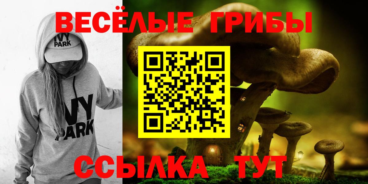 Магадан  Псилоцибиновые грибы Magic Shrooms  Вход с VPN 