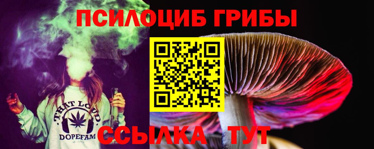 Галлюциногенные грибы Magic Shrooms Магадан