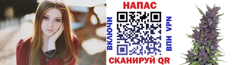 omg ONION  купить   Магадан  Бошки марихуана план 